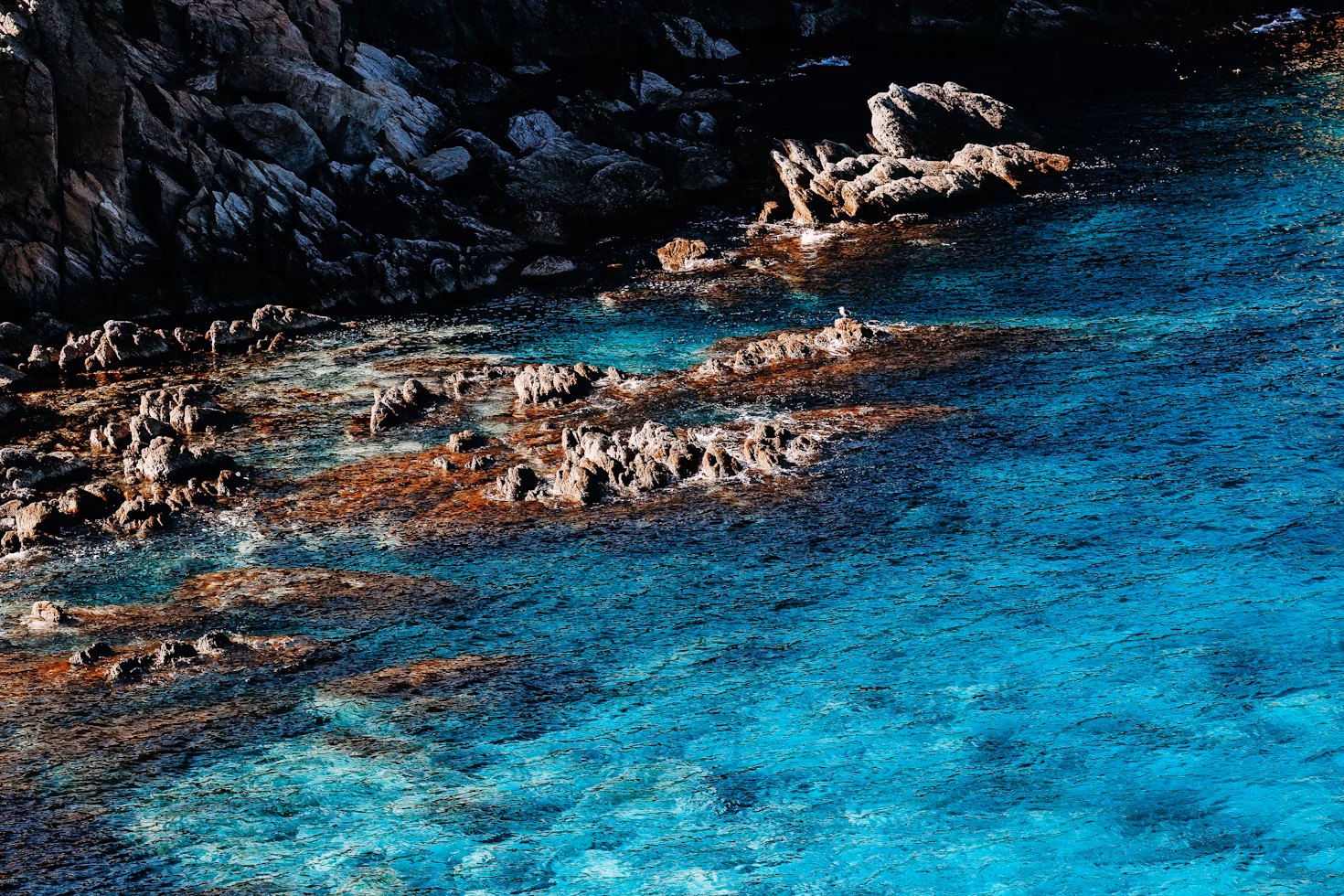 Exclusive island-hopping cruise packages	